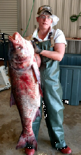 Eat Those Asian Carp -- and Call 'Em 'Silverfin'