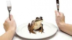 How to Help Fight Invasive Species?  Eat Them - Bullfrog, Anyone?