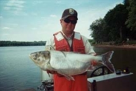 'Yes, we can' eat Asian carp, chef says