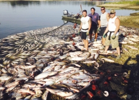 Illinois investors, Chef Parola want to tackle Asian carp invasion