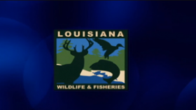 LA Wildlife & Fisheries - Asian Carp